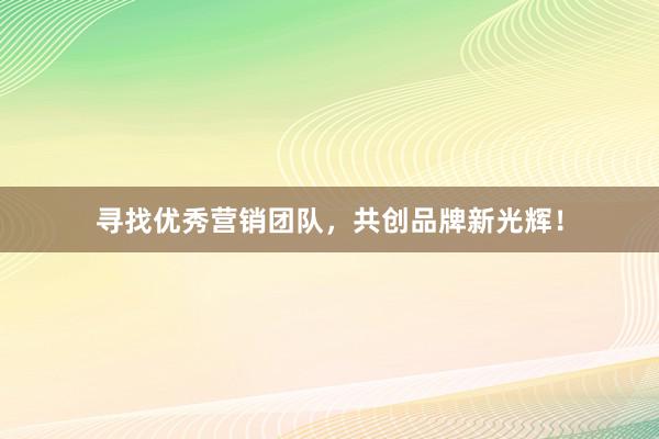 寻找优秀营销团队，共创品牌新光辉！