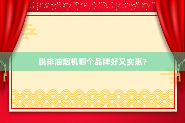 脱排油烟机哪个品牌好又实惠？
