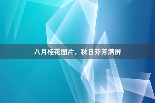 八月桂花图片，秋日芬芳满屏