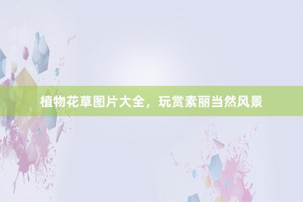植物花草图片大全，玩赏素丽当然风景