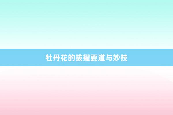 牡丹花的拔擢要道与妙技