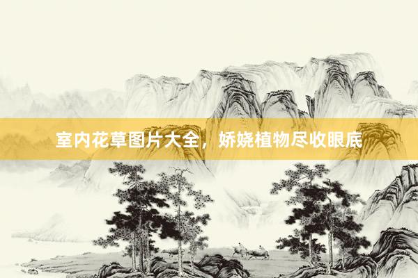 室内花草图片大全，娇娆植物尽收眼底