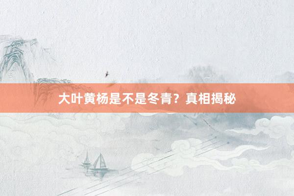 大叶黄杨是不是冬青？真相揭秘